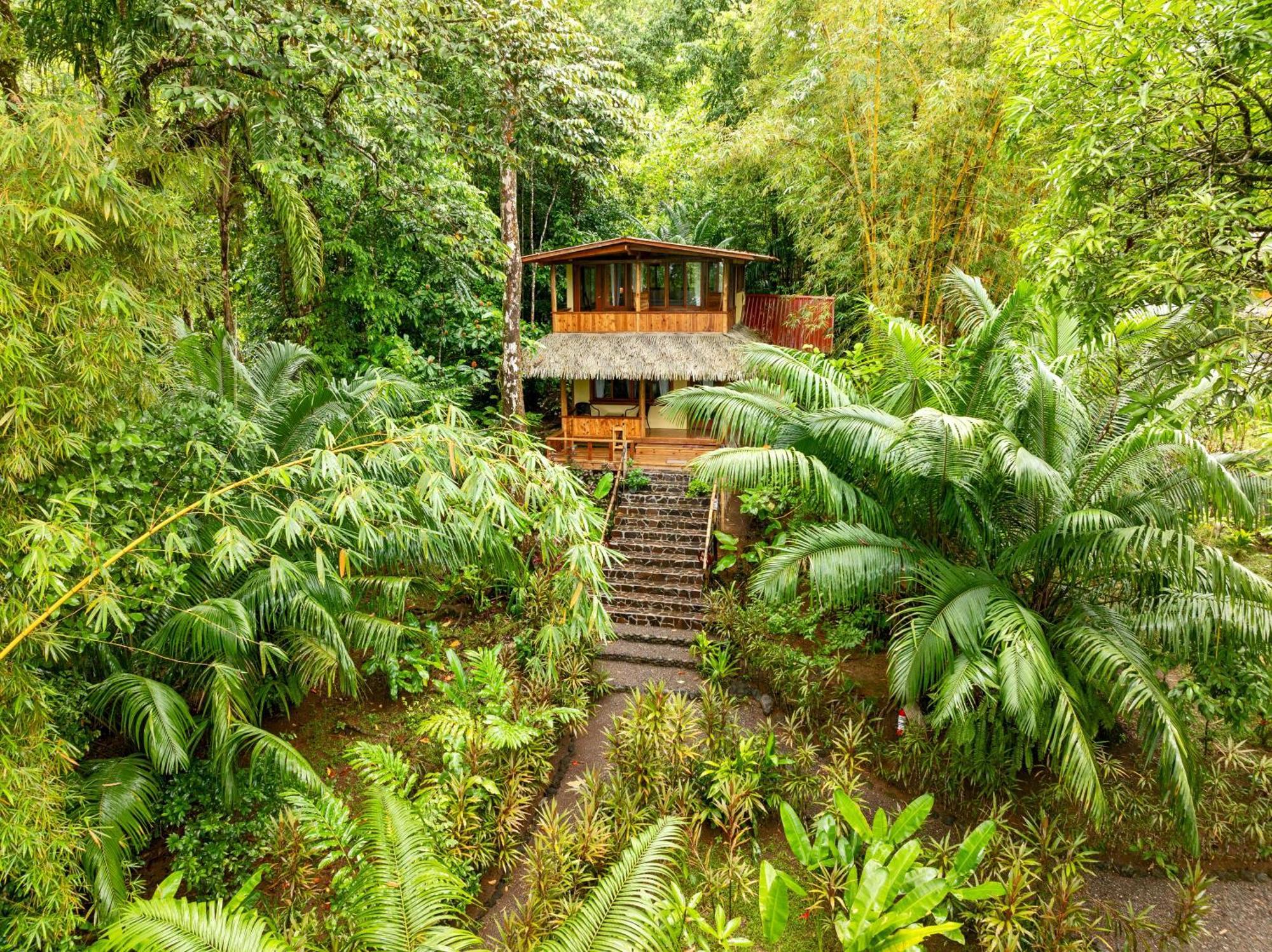 Copa De Arbol Beach & Rainforest Resort Drakes Bay Esterno foto