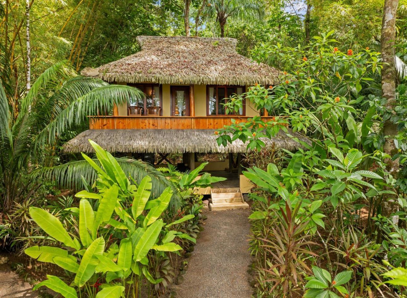 Copa De Arbol Beach & Rainforest Resort Drakes Bay Esterno foto