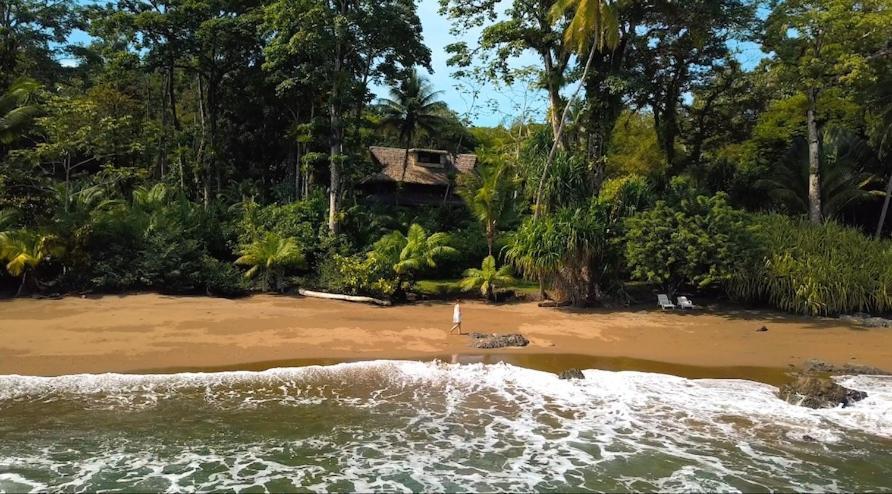 Copa De Arbol Beach & Rainforest Resort Drakes Bay Esterno foto