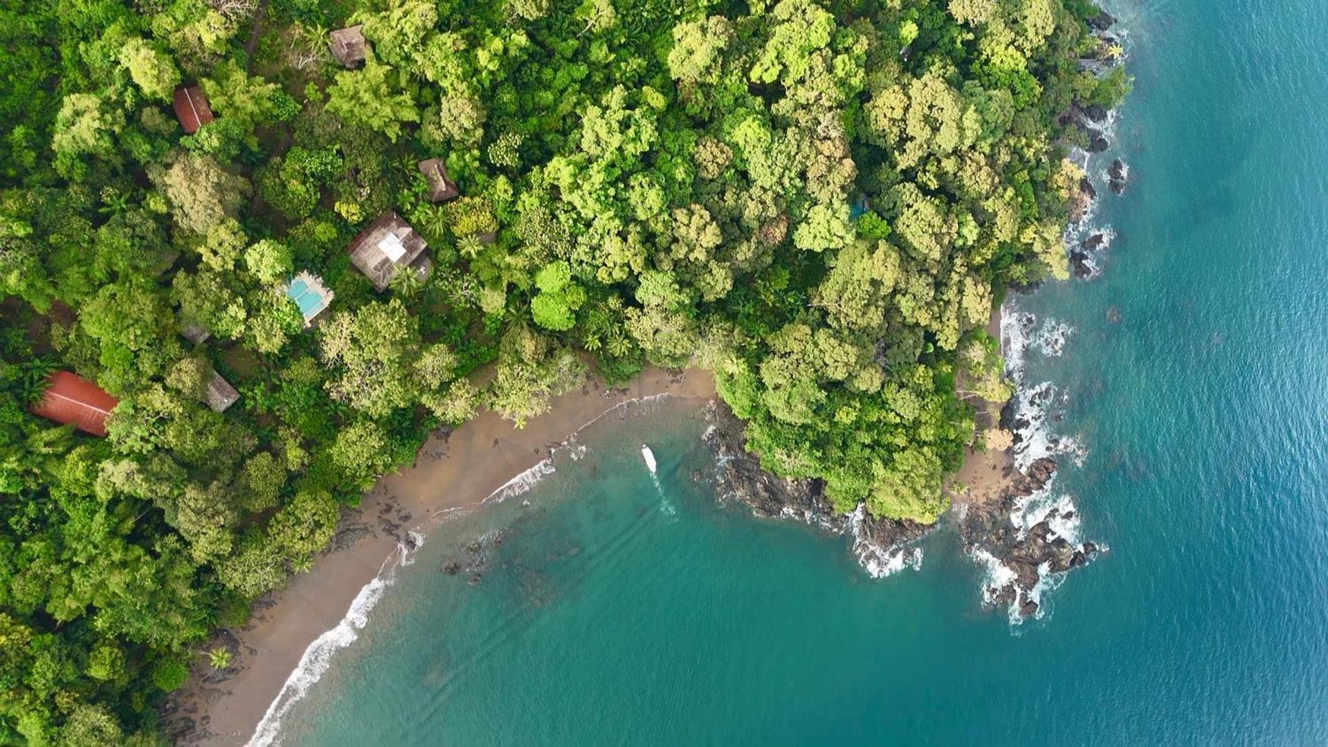 Copa De Arbol Beach & Rainforest Resort Drakes Bay Esterno foto
